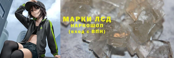 индика Слюдянка