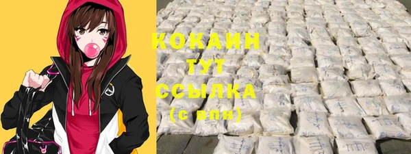 индика Слюдянка