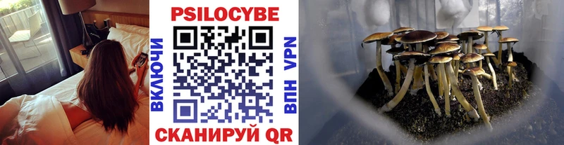 Псилоцибиновые грибы мухоморы МЕГА ССЫЛКА Анадырь цены