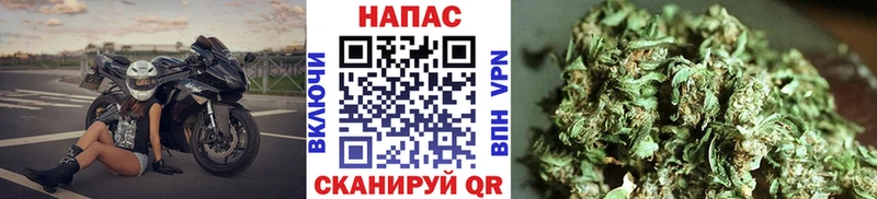 Бошки Шишки SATIVA & INDICA блэк спрут как войти Анадырь